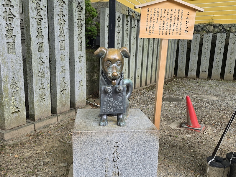 【四國香川】漫步滿濃公園虞美人花海、朝聖金刀比羅宮品嚐道地烏龍麵