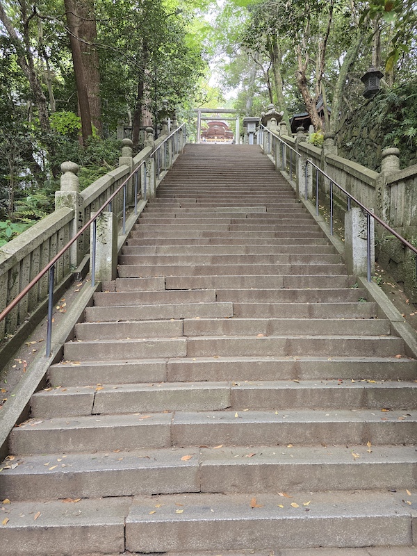 【四國香川】漫步滿濃公園虞美人花海、朝聖金刀比羅宮品嚐道地烏龍麵