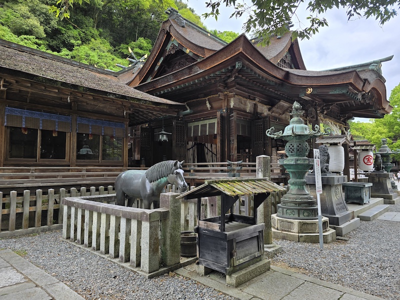 【四國香川】漫步滿濃公園虞美人花海、朝聖金刀比羅宮品嚐道地烏龍麵