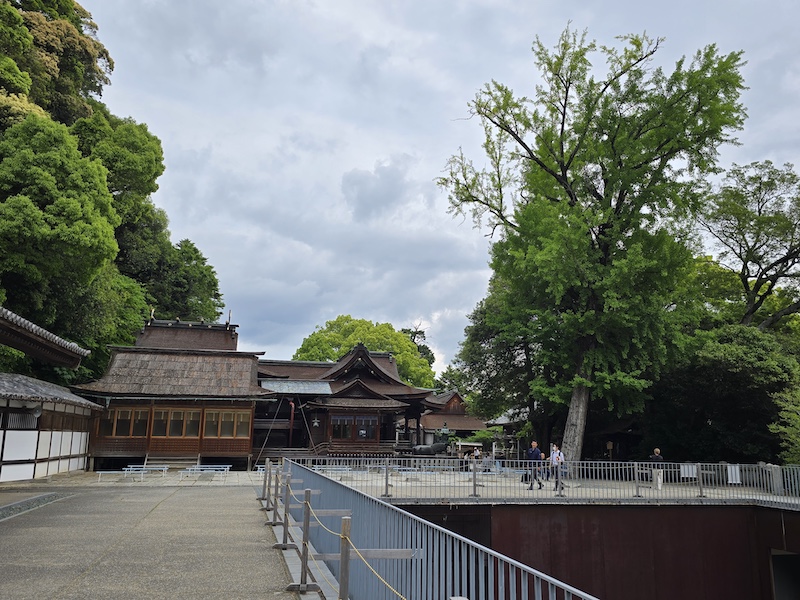 【四國香川】漫步滿濃公園虞美人花海、朝聖金刀比羅宮品嚐道地烏龍麵