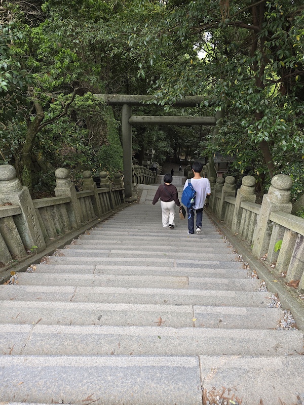 【四國香川】漫步滿濃公園虞美人花海、朝聖金刀比羅宮品嚐道地烏龍麵