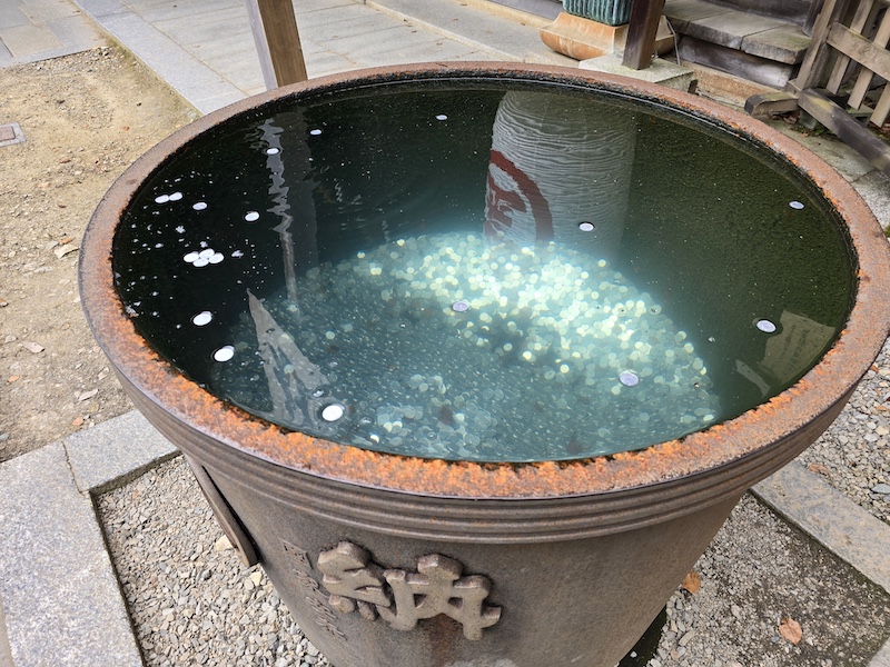 【四國香川】漫步滿濃公園虞美人花海、朝聖金刀比羅宮品嚐道地烏龍麵