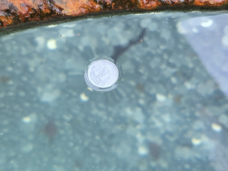 【四國香川】漫步滿濃公園虞美人花海、朝聖金刀比羅宮品嚐道地烏龍麵