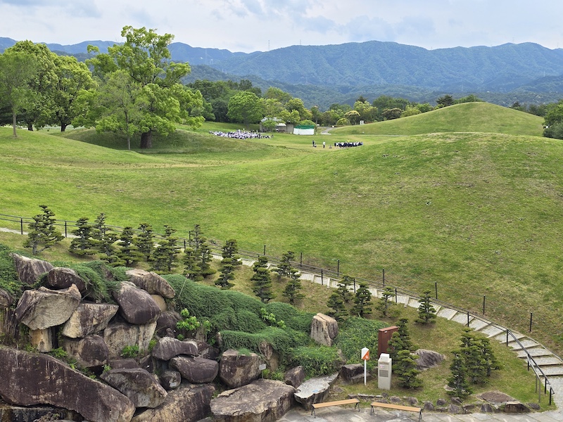 【四國香川】漫步滿濃公園虞美人花海、朝聖金刀比羅宮品嚐道地烏龍麵