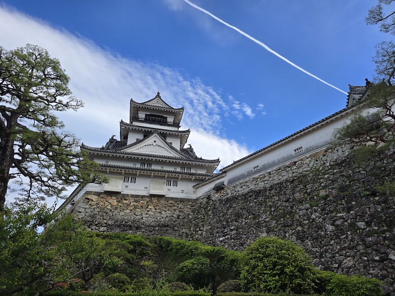 【四國高知旅遊】登頂日本現存天守「高知城」，弘人市場必吃「明神丸」炙燒鰹魚！