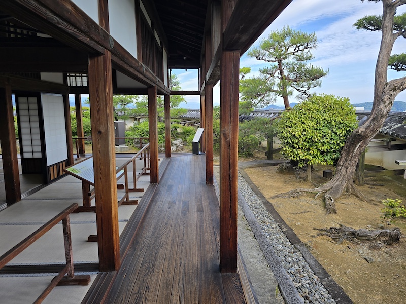 【四國高知旅遊】登頂日本現存天守「高知城」，弘人市場必吃「明神丸」炙燒鰹魚！