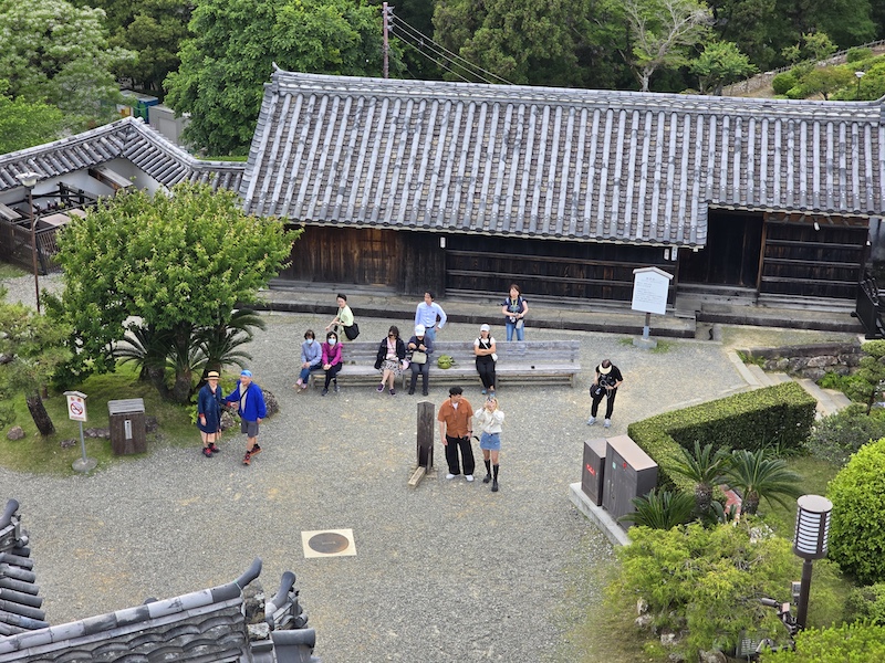 【四國高知旅遊】登頂日本現存天守「高知城」，弘人市場必吃「明神丸」炙燒鰹魚！