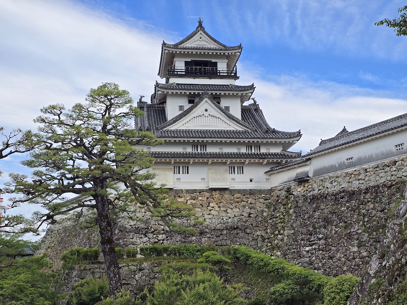 【四國高知旅遊】登頂日本現存天守「高知城」，弘人市場必吃「明神丸」炙燒鰹魚！