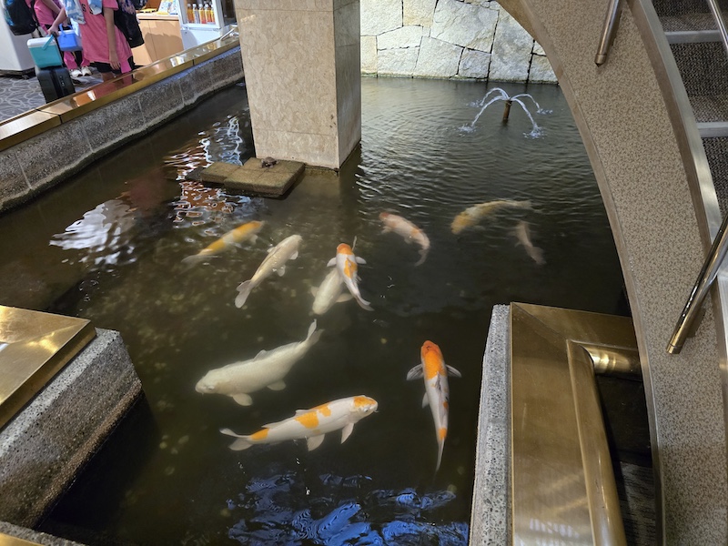 【高知住宿推薦】高砂飯店（Hotel Takasago）開箱：近高知車站與超豐盛在地早餐