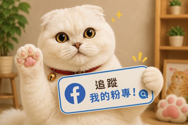 追蹤我的粉專吧!